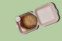 [NMN24262-1] Vegan Falafel Burger / برجر نباتي