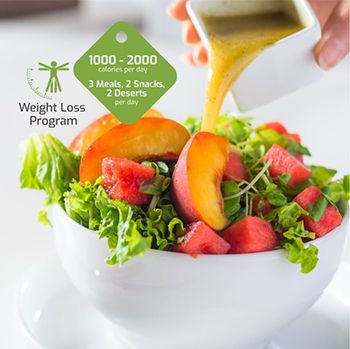 Weight loss program
