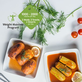 weight maintain program