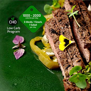 Low carb program