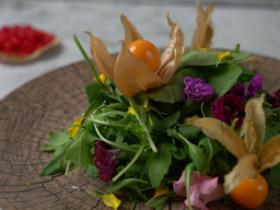 [SAL76] فقاعات الفراولة الخضراء