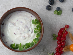 [SAL77] زبادي بيبي بلو