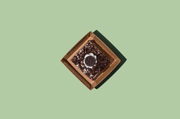 [NMN222381-1] Foret Noir / فوريت نوير