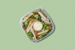 WOW - Chicken Caesar Salad / سلطة سيزر بالدجا
