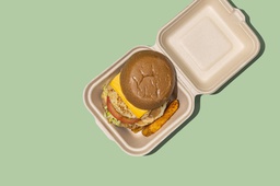 Buffalo Chicken Burger (GF) / برجر دجاج بافلو