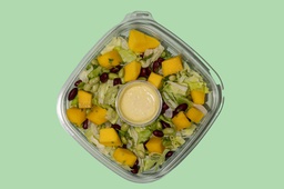 Edamame Mango Salad (GF + LF)  /سلطة اديمامي مانجا