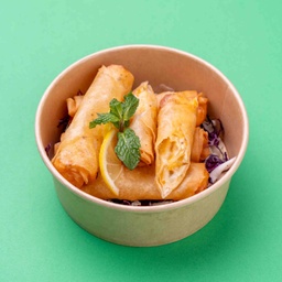 Cheese &amp; Vegetable Spring Rolls / سبرنج رول جبنة وخضار